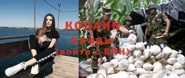 трава Каменка