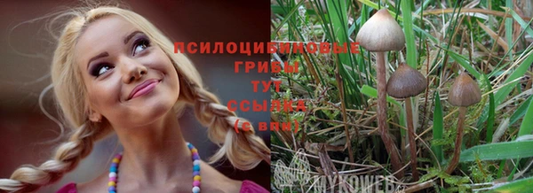 jwh Алзамай