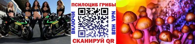 Псилоцибиновые грибы Magic Shrooms  Бахчисарай 